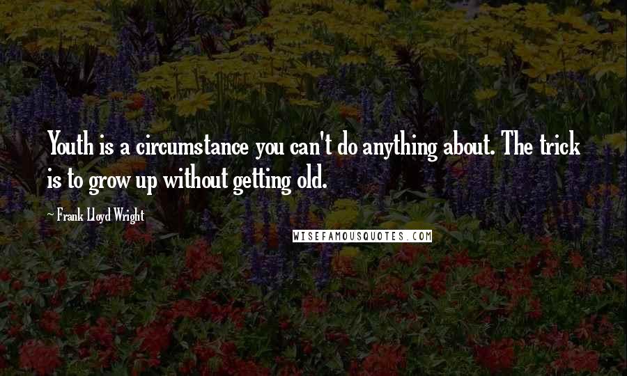 Frank Lloyd Wright Quotes: Youth is a circumstance you can't do anything about. The trick is to grow up without getting old.