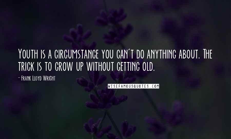 Frank Lloyd Wright Quotes: Youth is a circumstance you can't do anything about. The trick is to grow up without getting old.