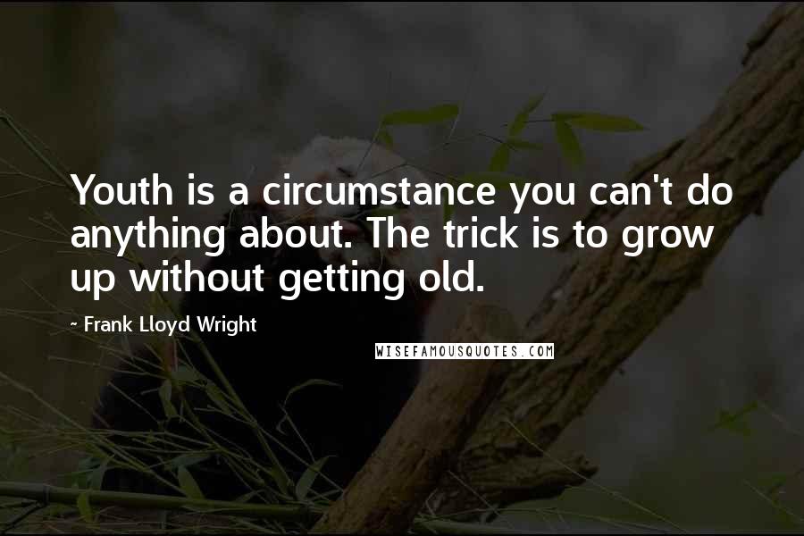 Frank Lloyd Wright Quotes: Youth is a circumstance you can't do anything about. The trick is to grow up without getting old.