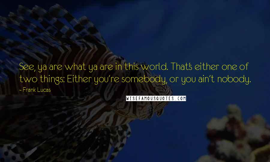 Frank Lucas Quotes: See, ya are what ya are in this world. That's either one of two things: Either you're somebody, or you ain't nobody.