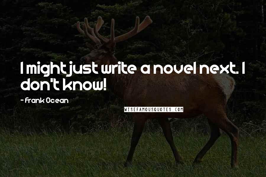Frank Ocean Quotes: I might just write a novel next. I don't know!