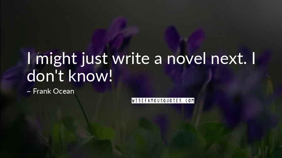 Frank Ocean Quotes: I might just write a novel next. I don't know!