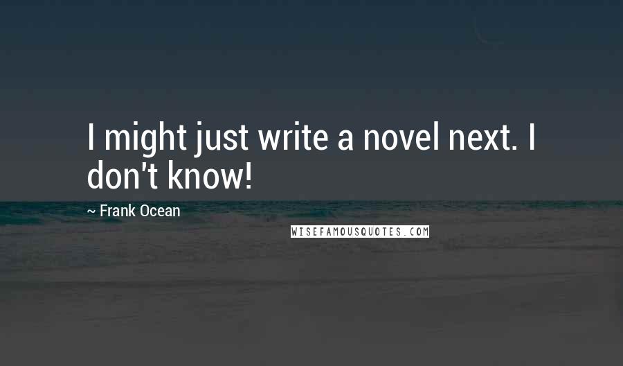 Frank Ocean Quotes: I might just write a novel next. I don't know!