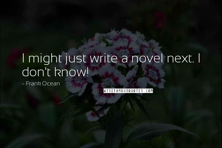 Frank Ocean Quotes: I might just write a novel next. I don't know!