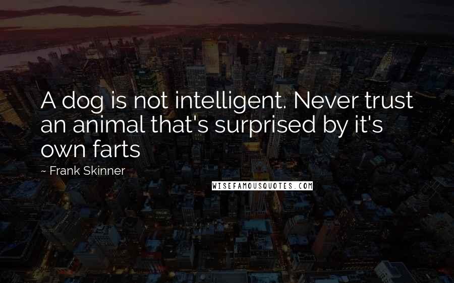 Frank Skinner Quotes: A dog is not intelligent. Never trust an animal that's surprised by it's own farts