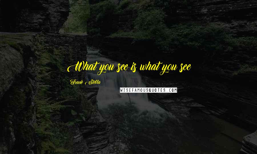Frank Stella Quotes: What you see is what you see