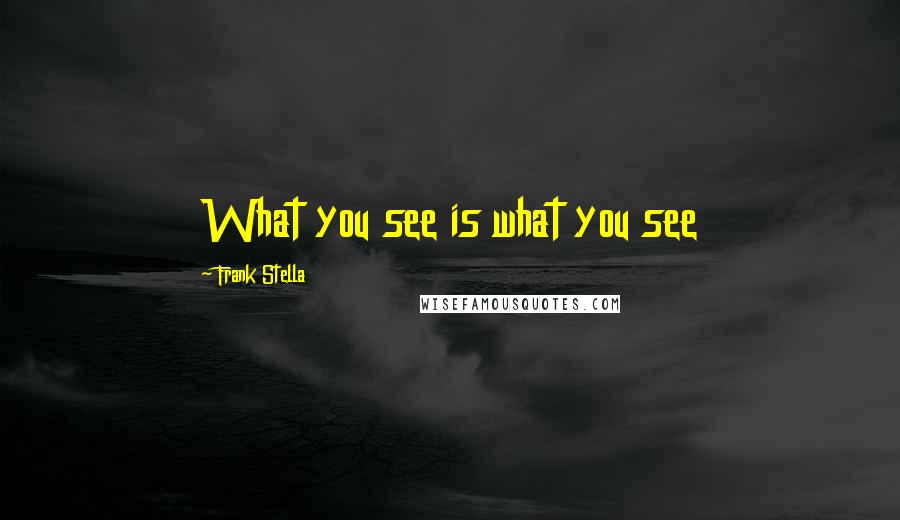 Frank Stella Quotes: What you see is what you see