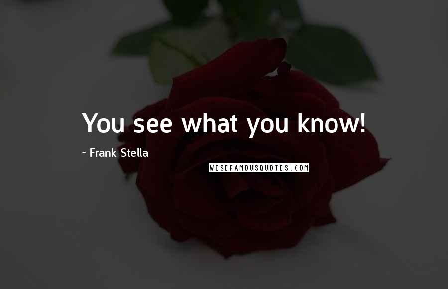 Frank Stella Quotes: You see what you know!
