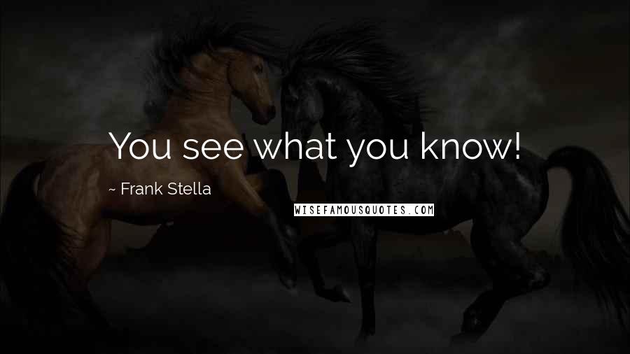 Frank Stella Quotes: You see what you know!