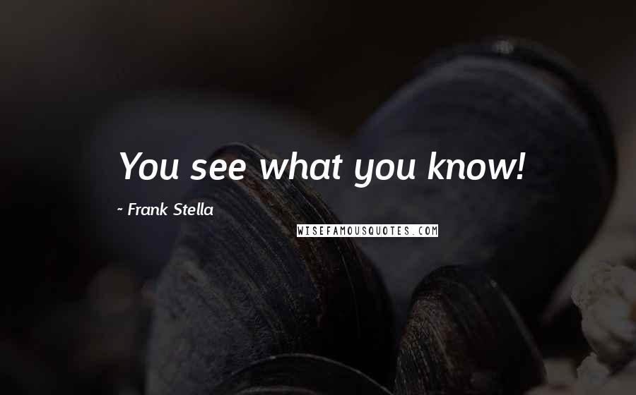 Frank Stella Quotes: You see what you know!