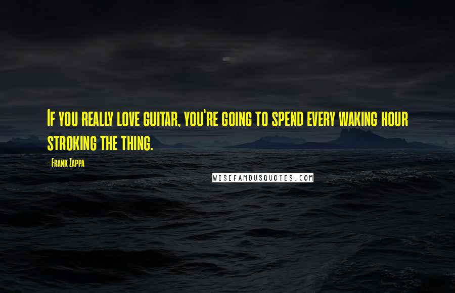 Frank Zappa Quotes: If you really love guitar, you're going to spend every waking hour stroking the thing.