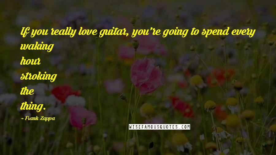 Frank Zappa Quotes: If you really love guitar, you're going to spend every waking hour stroking the thing.