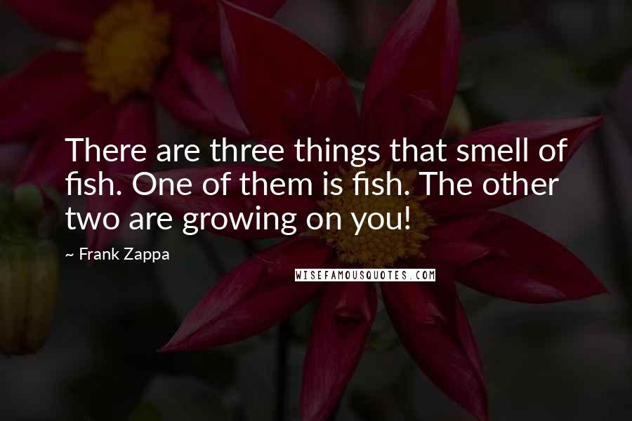 Frank Zappa Quotes: There are three things that smell of fish. One of them is fish. The other two are growing on you!