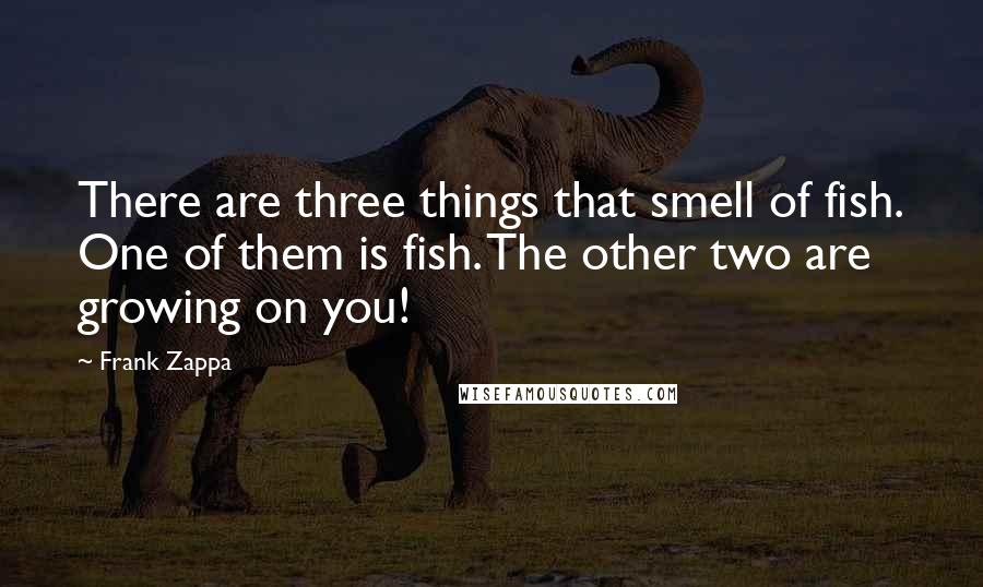 Frank Zappa Quotes: There are three things that smell of fish. One of them is fish. The other two are growing on you!