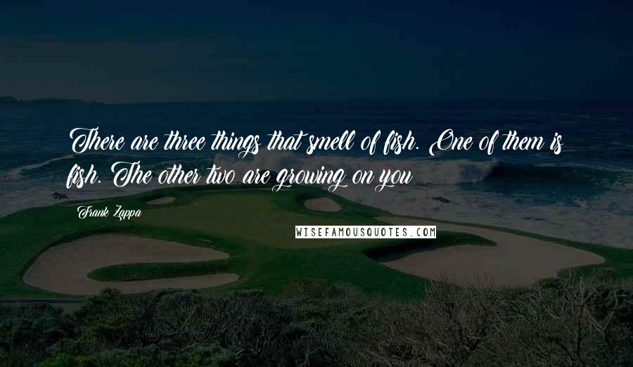 Frank Zappa Quotes: There are three things that smell of fish. One of them is fish. The other two are growing on you!