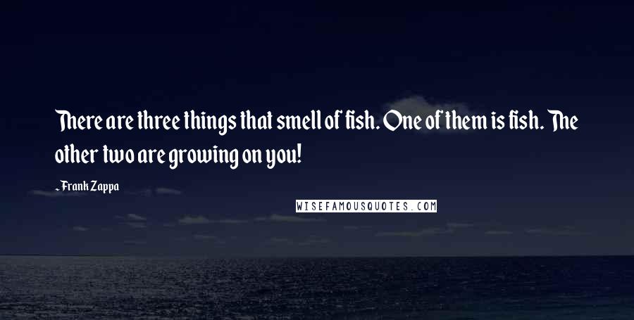 Frank Zappa Quotes: There are three things that smell of fish. One of them is fish. The other two are growing on you!