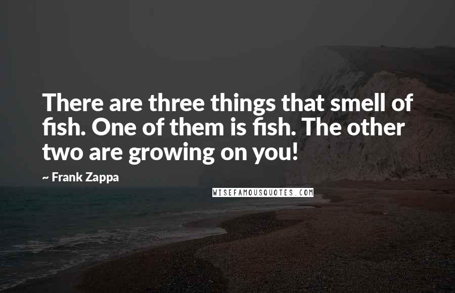 Frank Zappa Quotes: There are three things that smell of fish. One of them is fish. The other two are growing on you!