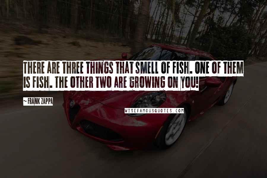 Frank Zappa Quotes: There are three things that smell of fish. One of them is fish. The other two are growing on you!