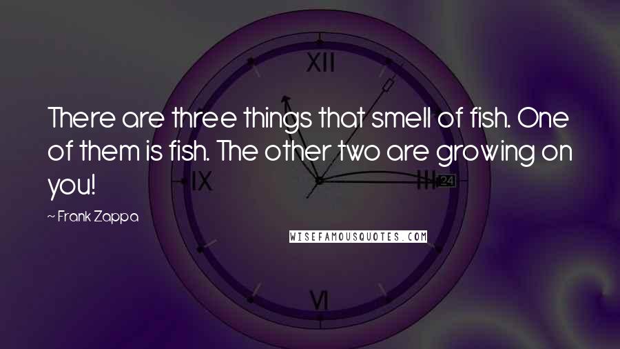 Frank Zappa Quotes: There are three things that smell of fish. One of them is fish. The other two are growing on you!