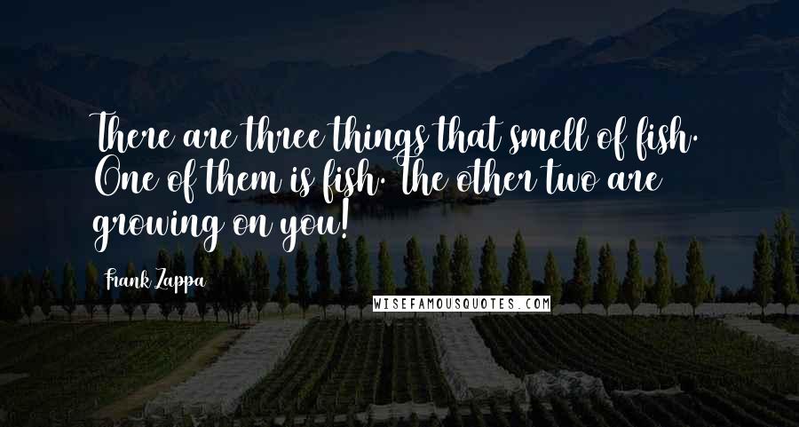 Frank Zappa Quotes: There are three things that smell of fish. One of them is fish. The other two are growing on you!