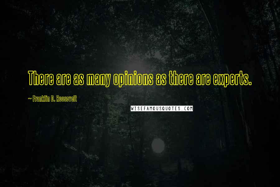 Franklin D. Roosevelt Quotes: There are as many opinions as there are experts.