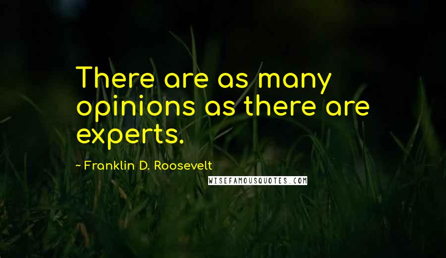 Franklin D. Roosevelt Quotes: There are as many opinions as there are experts.