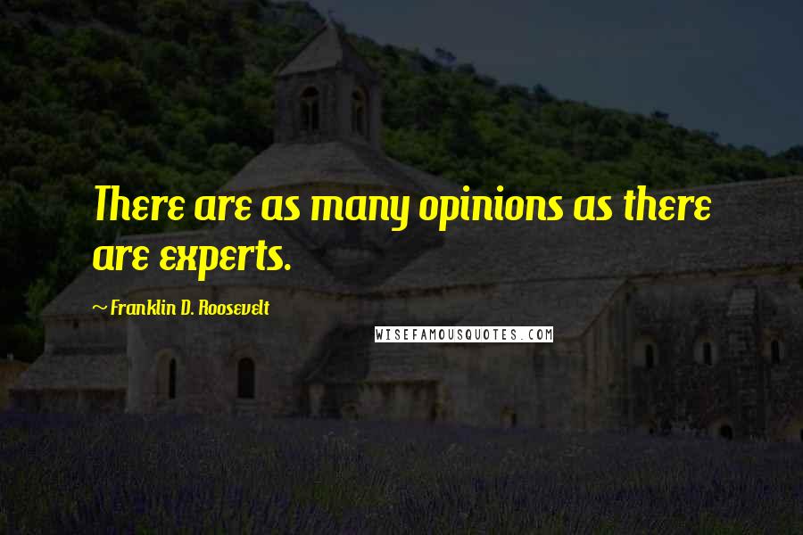 Franklin D. Roosevelt Quotes: There are as many opinions as there are experts.