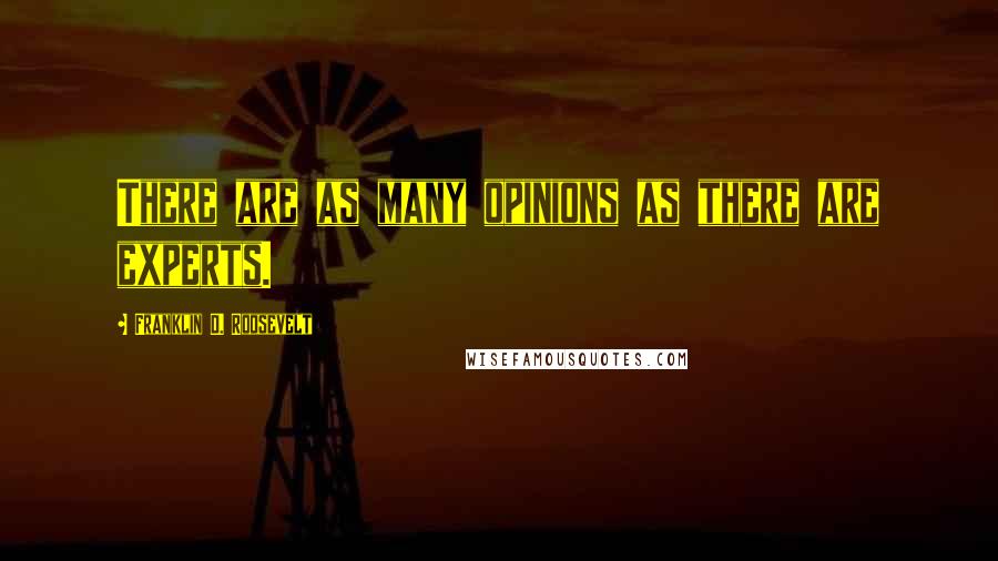 Franklin D. Roosevelt Quotes: There are as many opinions as there are experts.