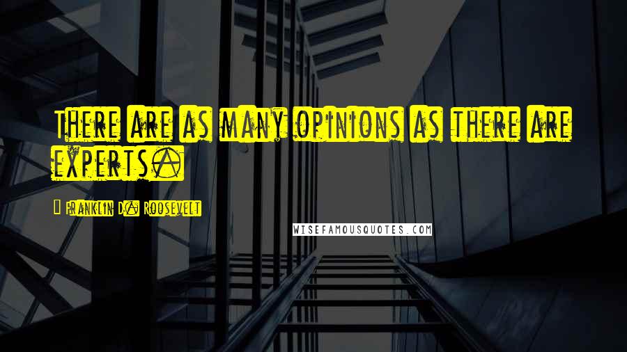 Franklin D. Roosevelt Quotes: There are as many opinions as there are experts.