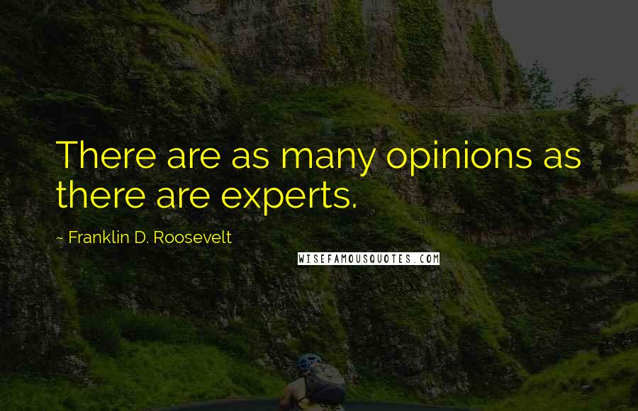 Franklin D. Roosevelt Quotes: There are as many opinions as there are experts.