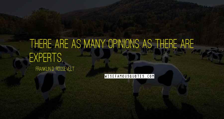 Franklin D. Roosevelt Quotes: There are as many opinions as there are experts.