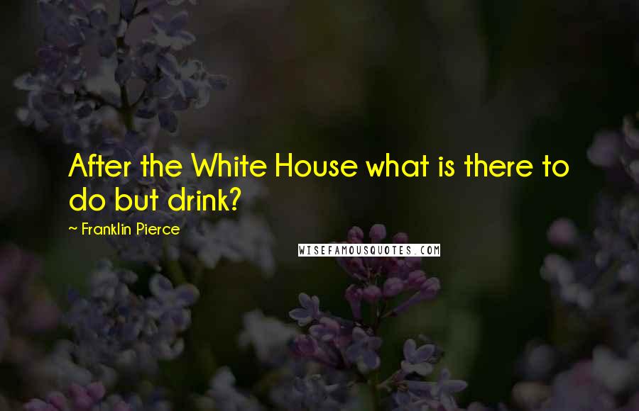 Franklin Pierce Quotes: After the White House what is there to do but drink?