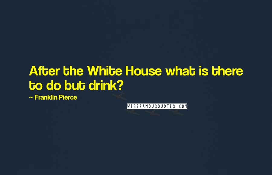 Franklin Pierce Quotes: After the White House what is there to do but drink?