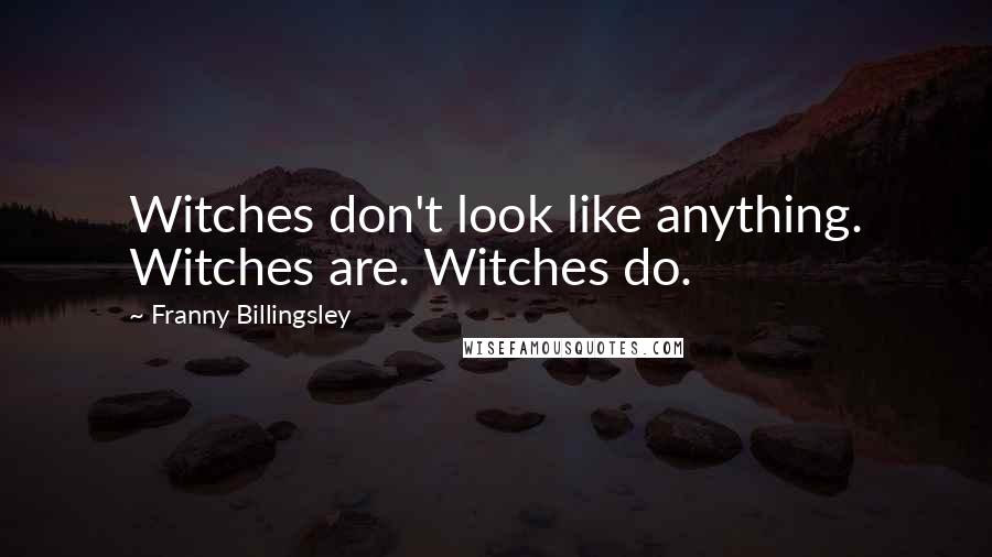Franny Billingsley Quotes: Witches don't look like anything. Witches are. Witches do.