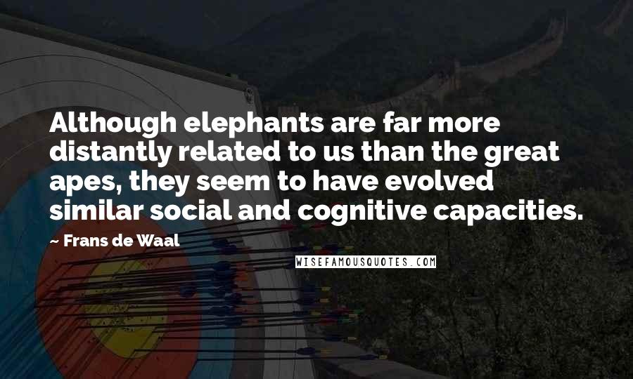Frans De Waal Quotes: Although elephants are far more distantly related to us than the great apes, they seem to have evolved similar social and cognitive capacities.