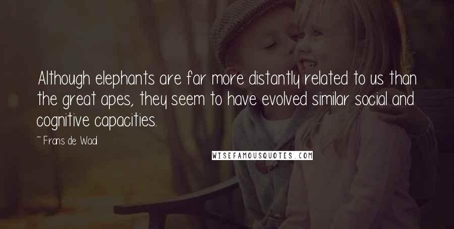 Frans De Waal Quotes: Although elephants are far more distantly related to us than the great apes, they seem to have evolved similar social and cognitive capacities.