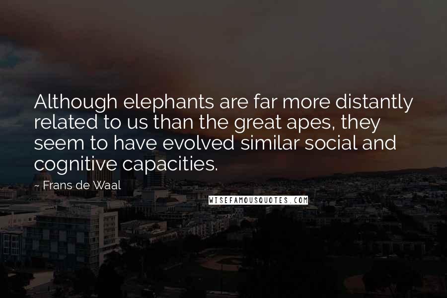 Frans De Waal Quotes: Although elephants are far more distantly related to us than the great apes, they seem to have evolved similar social and cognitive capacities.