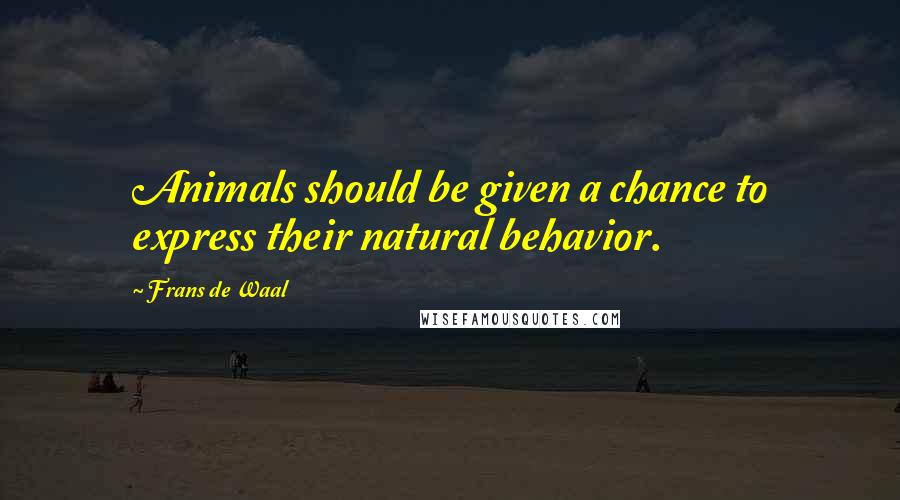 Frans De Waal Quotes: Animals should be given a chance to express their natural behavior.