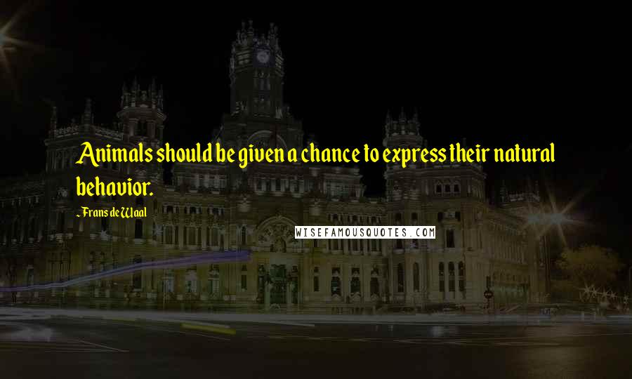 Frans De Waal Quotes: Animals should be given a chance to express their natural behavior.