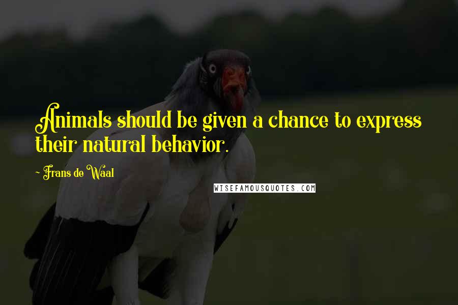 Frans De Waal Quotes: Animals should be given a chance to express their natural behavior.