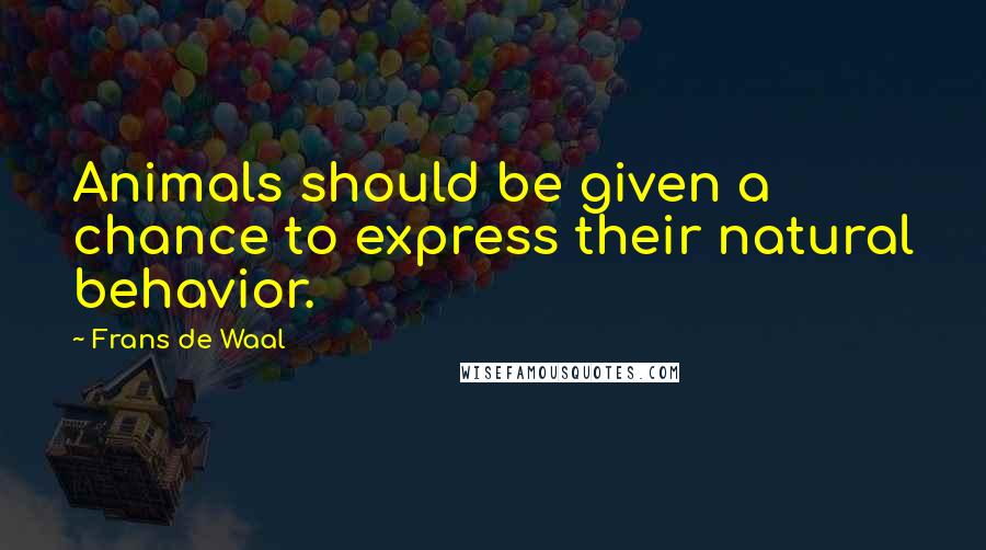 Frans De Waal Quotes: Animals should be given a chance to express their natural behavior.