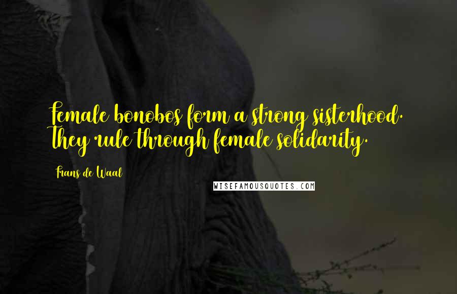 Frans De Waal Quotes: Female bonobos form a strong sisterhood. They rule through female solidarity.