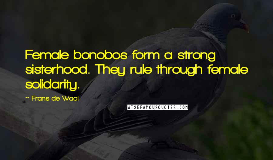 Frans De Waal Quotes: Female bonobos form a strong sisterhood. They rule through female solidarity.