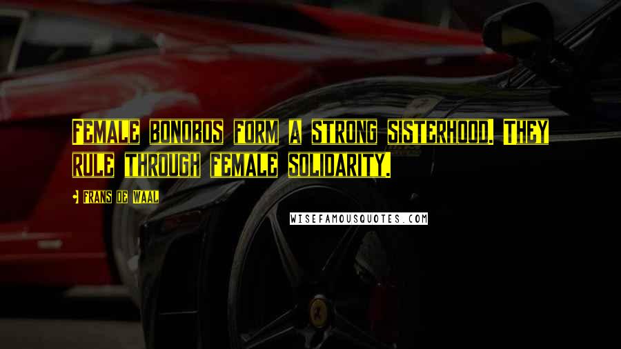 Frans De Waal Quotes: Female bonobos form a strong sisterhood. They rule through female solidarity.