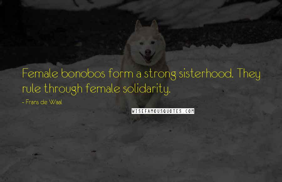 Frans De Waal Quotes: Female bonobos form a strong sisterhood. They rule through female solidarity.