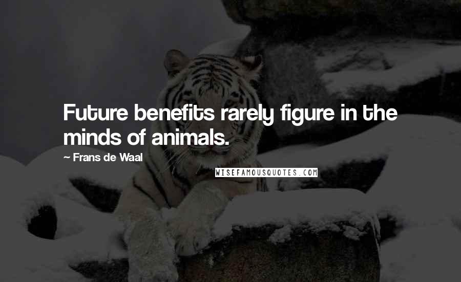 Frans De Waal Quotes: Future benefits rarely figure in the minds of animals.