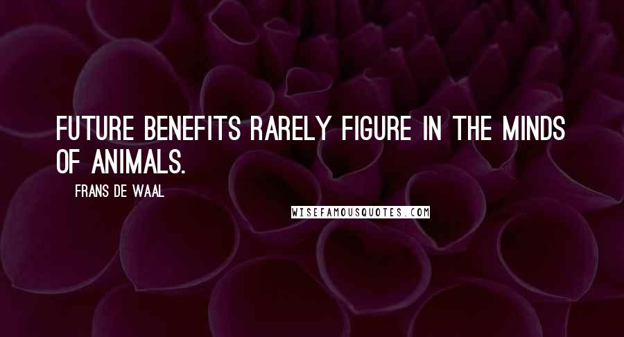 Frans De Waal Quotes: Future benefits rarely figure in the minds of animals.