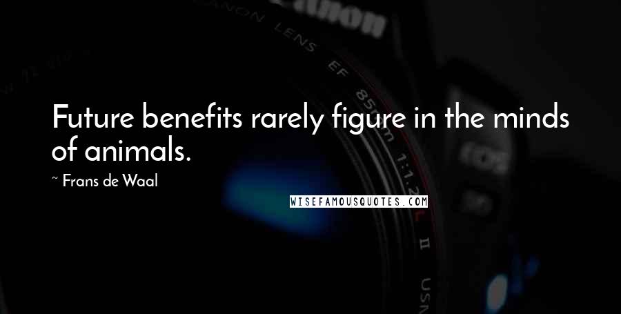 Frans De Waal Quotes: Future benefits rarely figure in the minds of animals.
