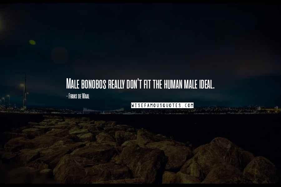 Frans De Waal Quotes: Male bonobos really don't fit the human male ideal.