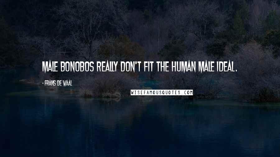 Frans De Waal Quotes: Male bonobos really don't fit the human male ideal.